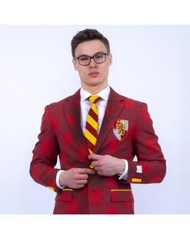Прокат мужского костюма Гриффиндор, изображение 1