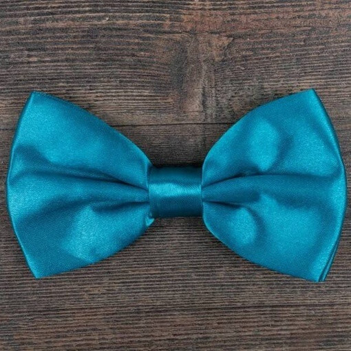 Бирюзовая бабочка в аренду для мужского костюма