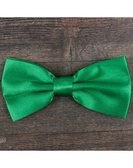 Прокат бабочки зеленого цвета для мужских костюмов, изображение 1