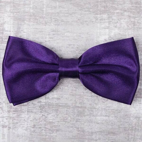 Аренда бабочки фиолетового цвета для мужских костюмов